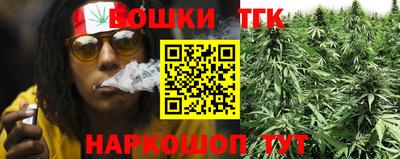 ешки Боровичи