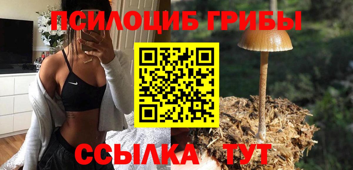 Ногинск  Галлюциногенные грибы мухоморы  Псилоцибиновые грибы MAGIC MUSHROOMS  Вход с VPN 