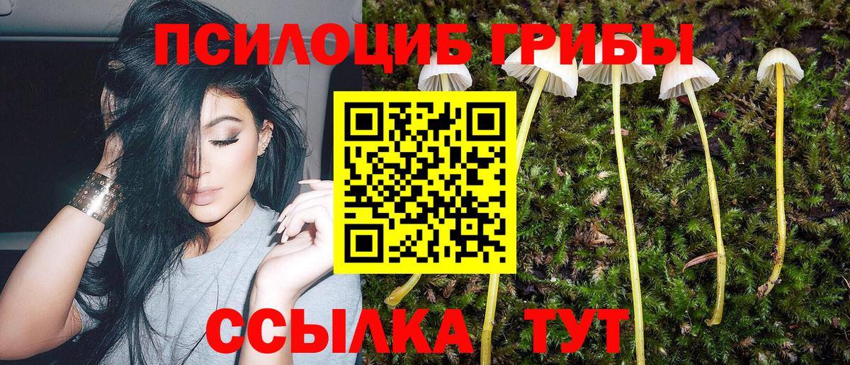 Псилоцибиновые грибы прущие грибы Ногинск